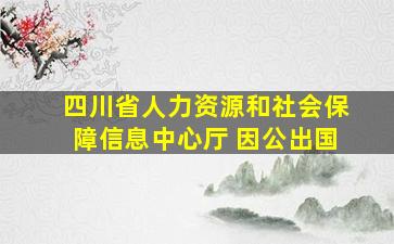 四川省人力资源和社会保障信息中心厅 因公出国